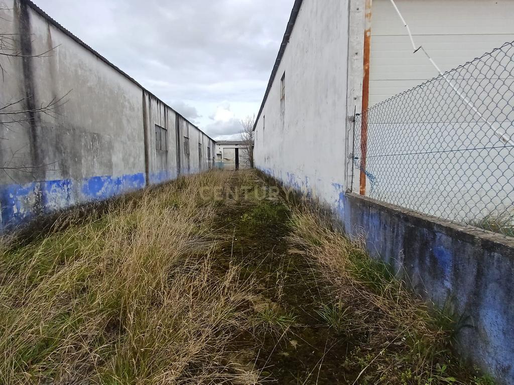 Armazéns na Zona Industrial de Almeirim - Image 5