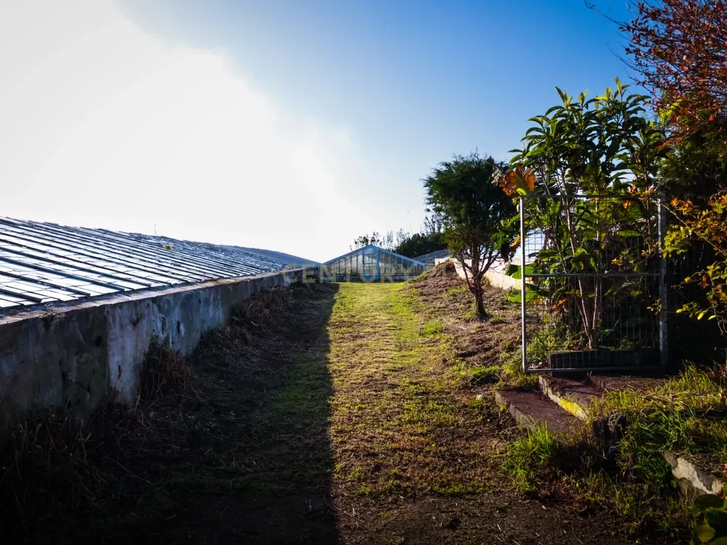 Propriedade Única com Estufas de Ananases e Potencial Urbano — Abelheira de Baixo, São Roque - Açores - Image 4