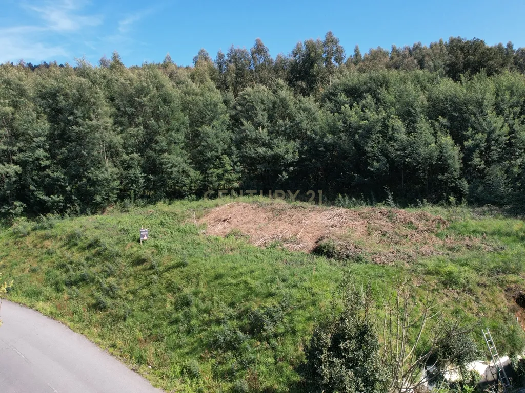 Terreno com Vista Panorâmica em Braga - 300.000€ - Image 20
