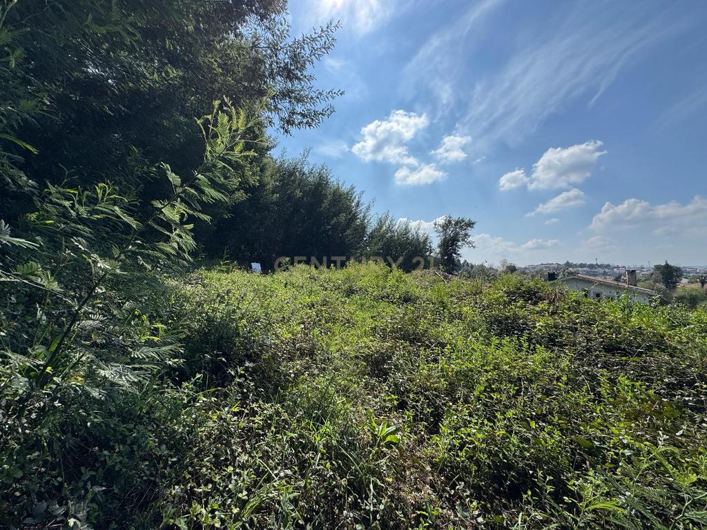 Terreno com Vista Panorâmica em Braga - 300.000€ - Image 5