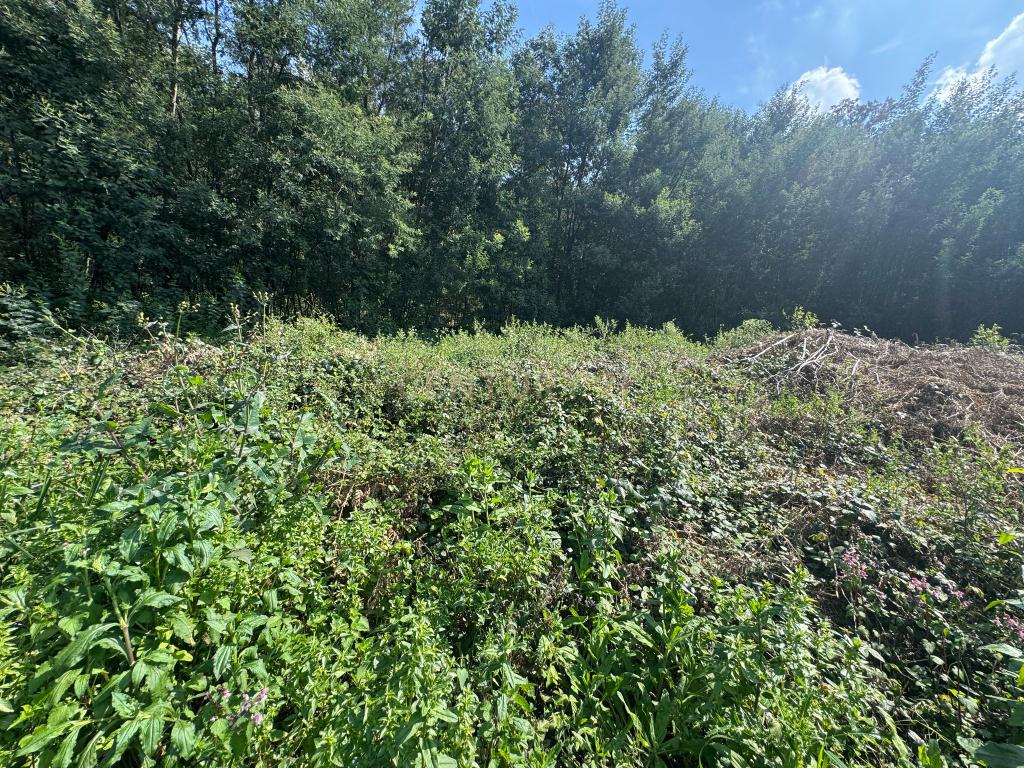 Terreno com Vista Panorâmica em Braga - 300.000€ - Image 13