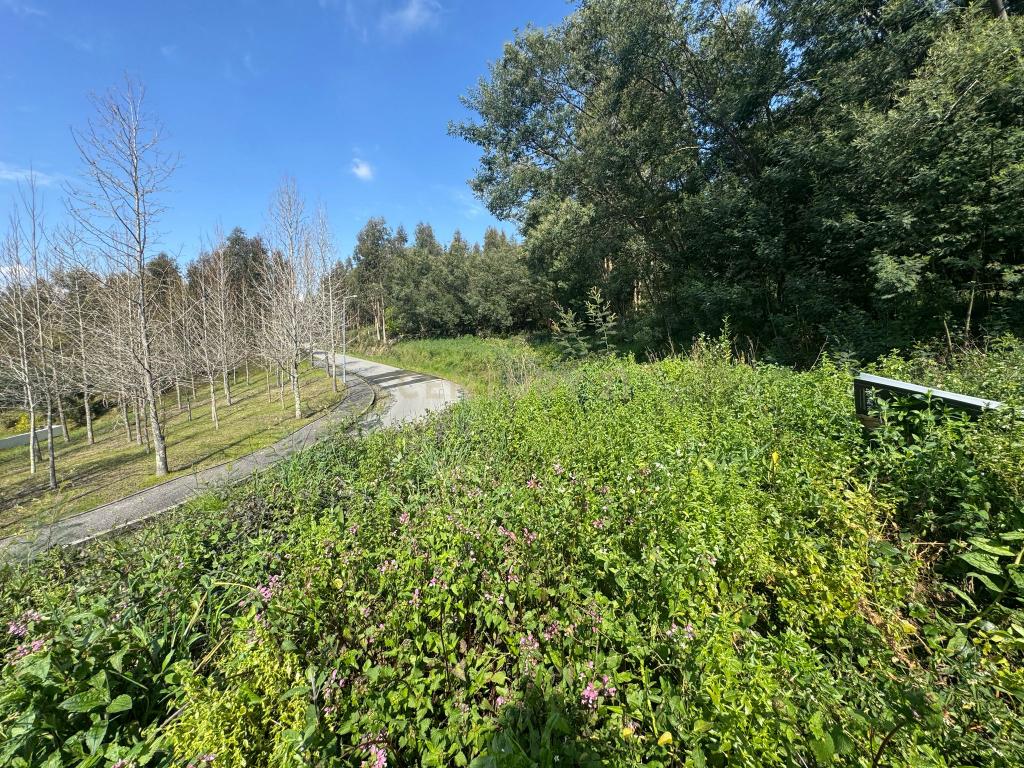 Terreno com Vista Panorâmica em Braga - 300.000€ - Image 14