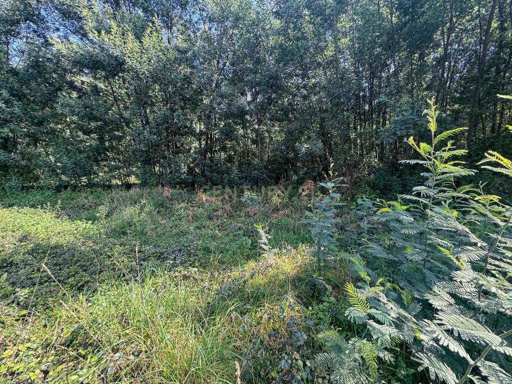 Terreno com Vista Panorâmica em Braga - 300.000€ - Image 18