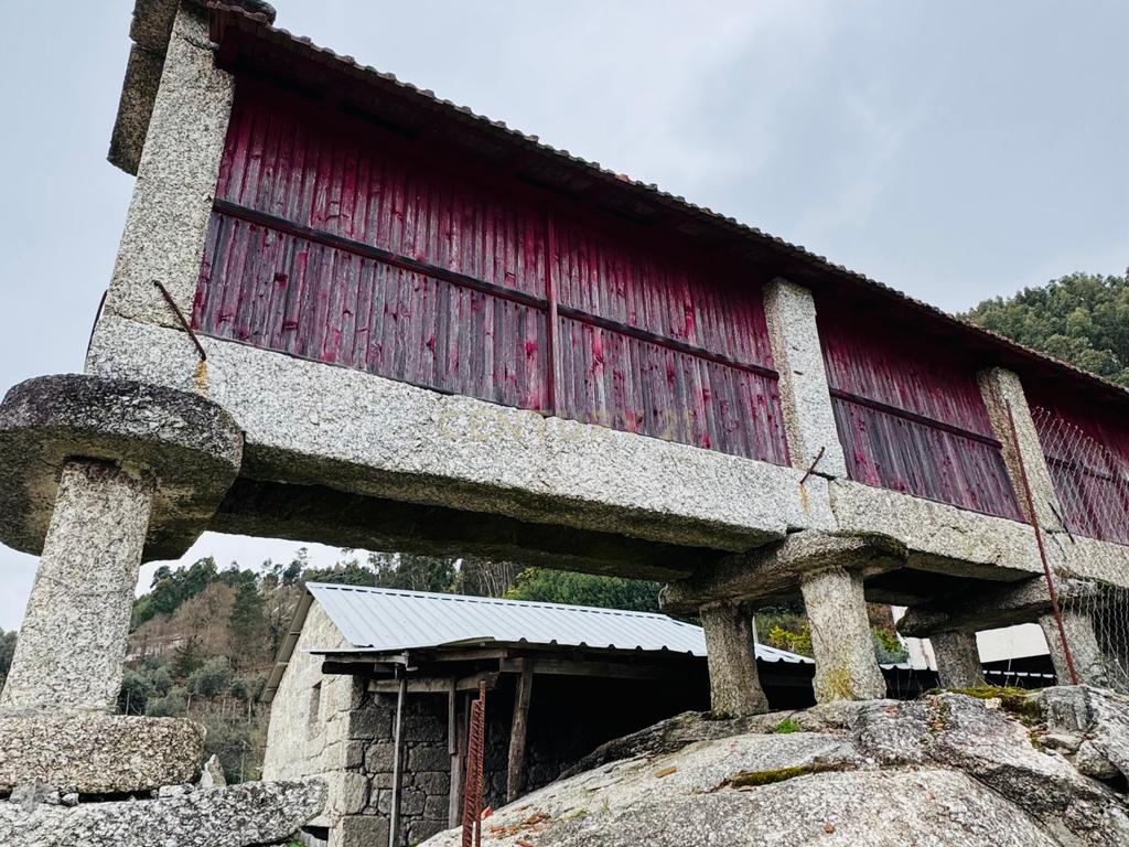 Terreno Urbano em Braga com Vista para Montanha e Água - Image 15