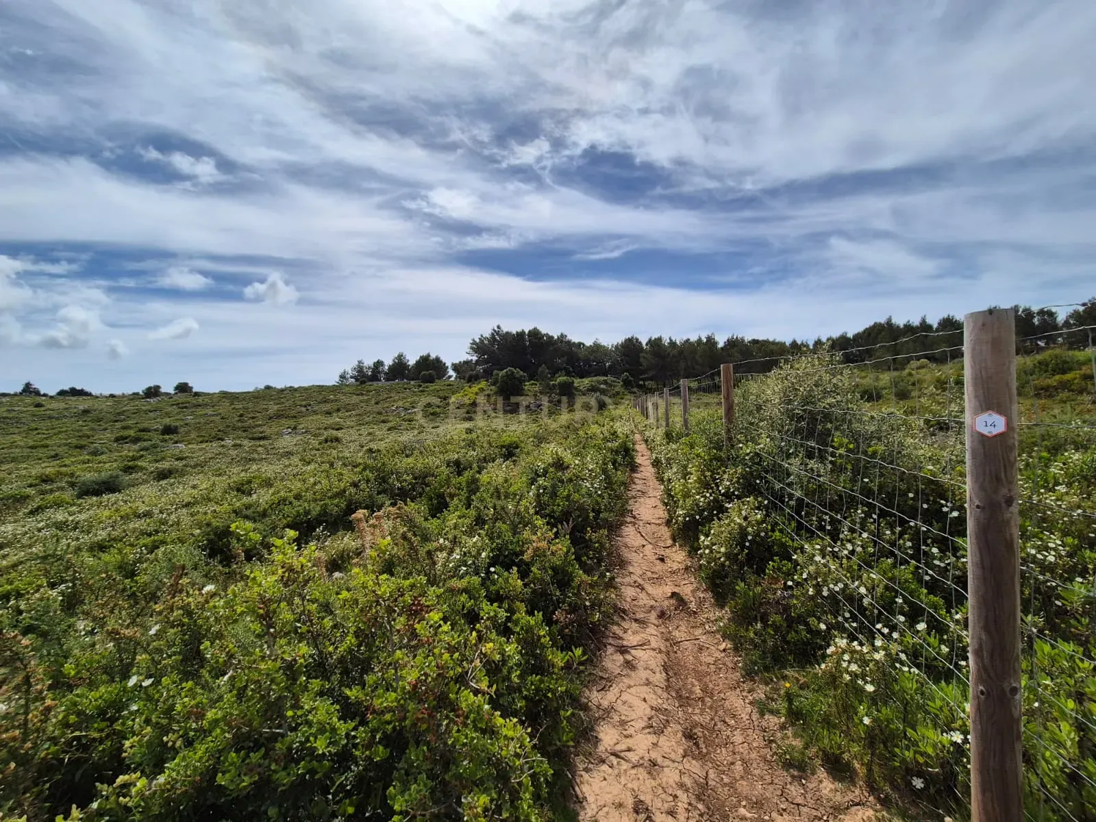 Fotografia 10 de Terreno Rústico com 20.000 m² em Murches, Cascais – Vista Serra de Sintra e Potencial Construção