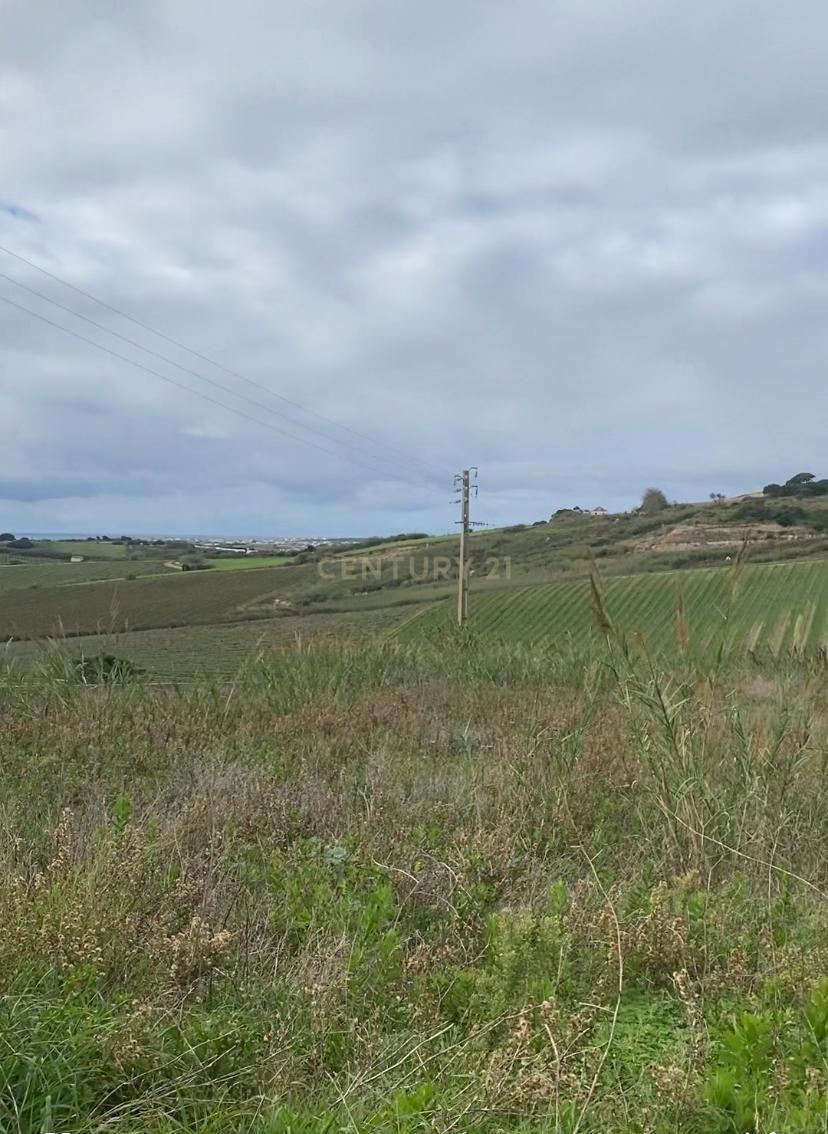 Terreno Urbano na Encarnação Mafra - Image 6