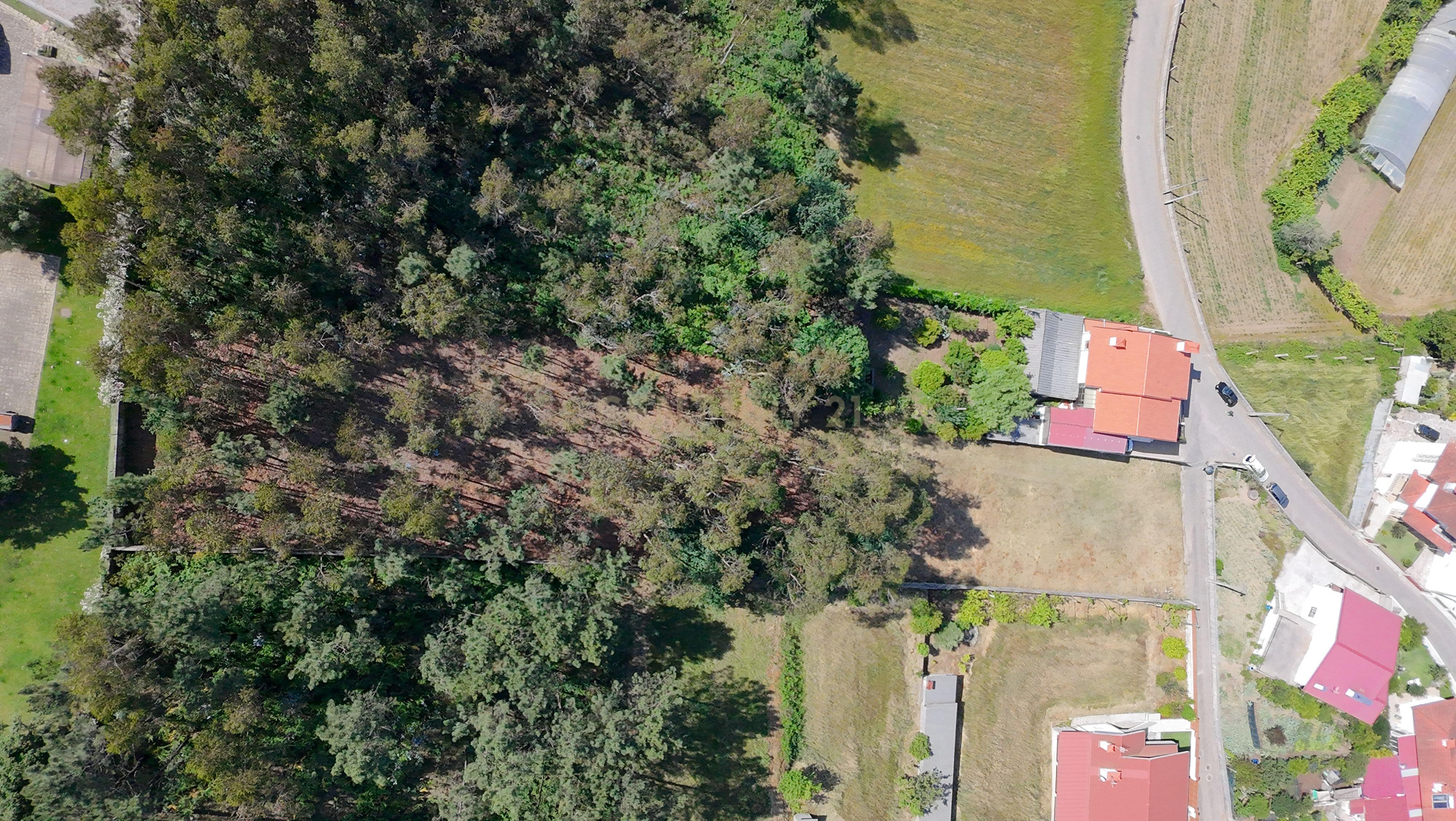 Fotografia 6 de Terreno para construção em Bougado, Trofa, Porto