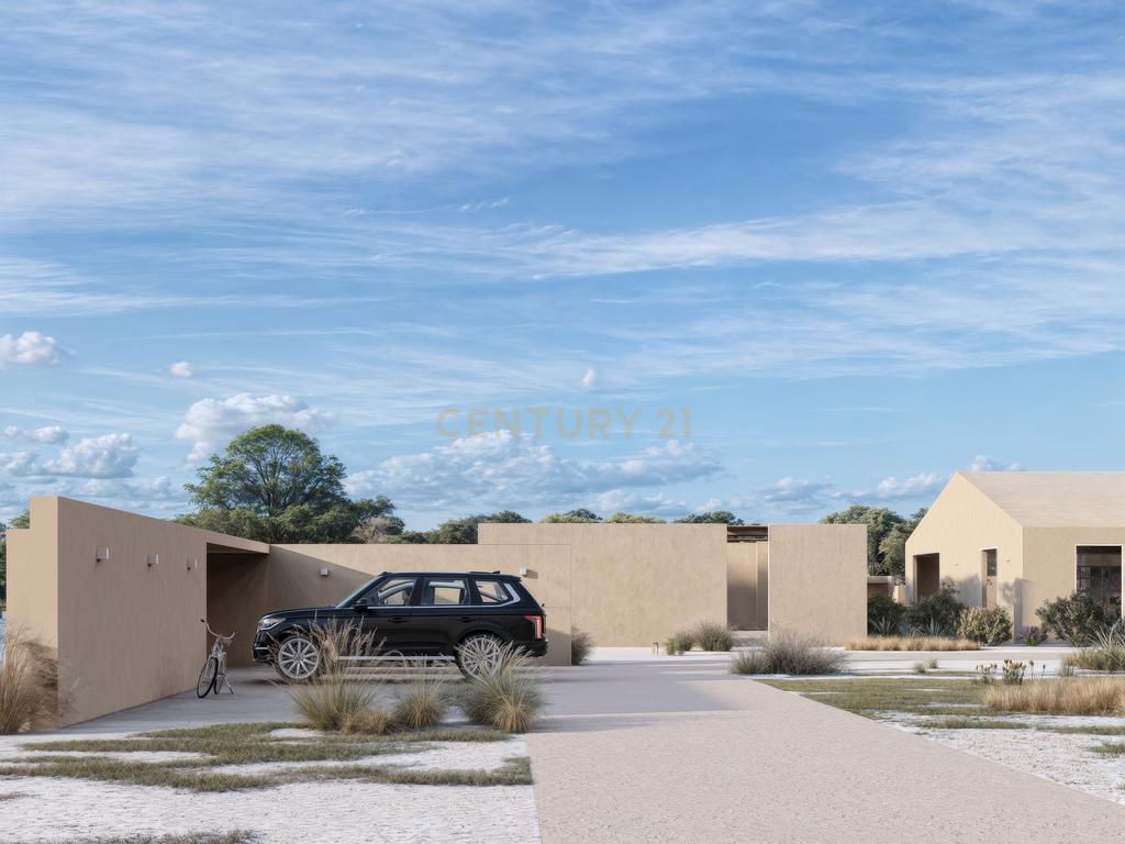 Terreno de 6 Hectares em Plena Planície Alentejana com projeto aprovado com 650 m2! - Image 5