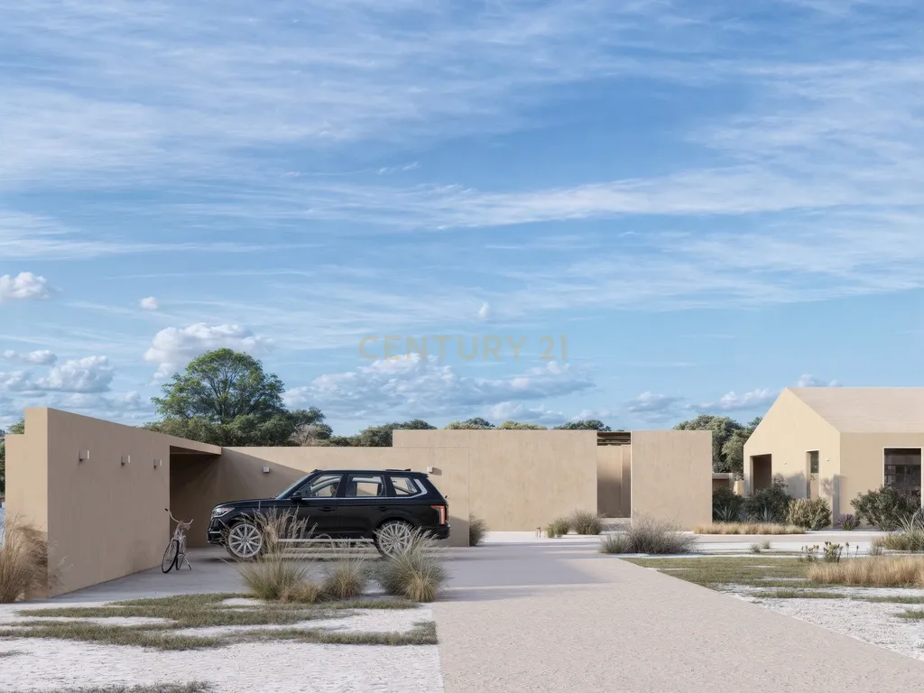 Terreno de 6 Hectares em Plena Planície Alentejana com projeto aprovado com 650 m2! - Image 5