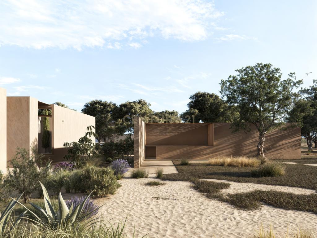 Terreno de 6 Hectares em Plena Planície Alentejana com projeto aprovado com 650 m2! - Image 29
