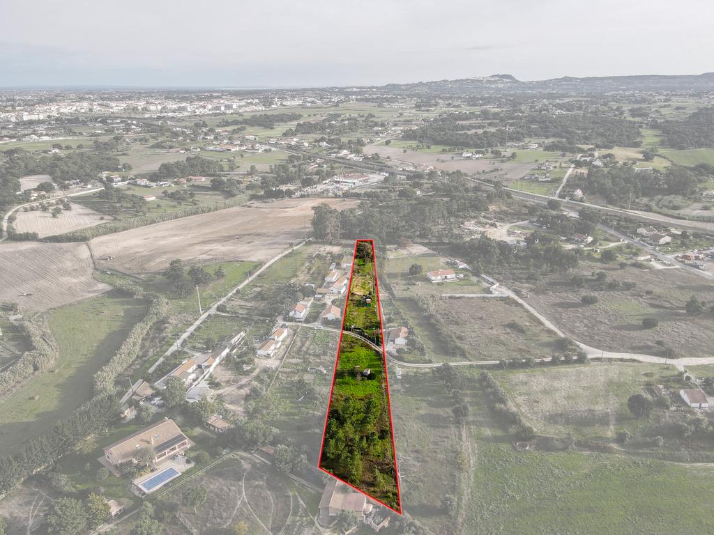 Quintinha em Pinhal Novo - Palmela - Image 10