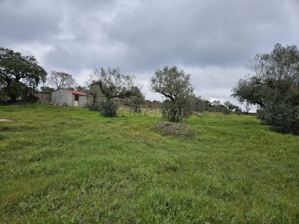 Quintinha na Lousa, Castelo Branco - Image 18