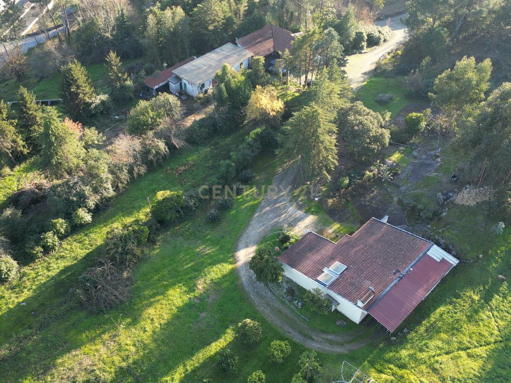 Herdade em Moreira de Cónegos – Moradia com 4 Frentes com Piscina 6 Hectares de terreno ideal para Organização de eventos, Alojamento local , boutique hotel etc - Image 16