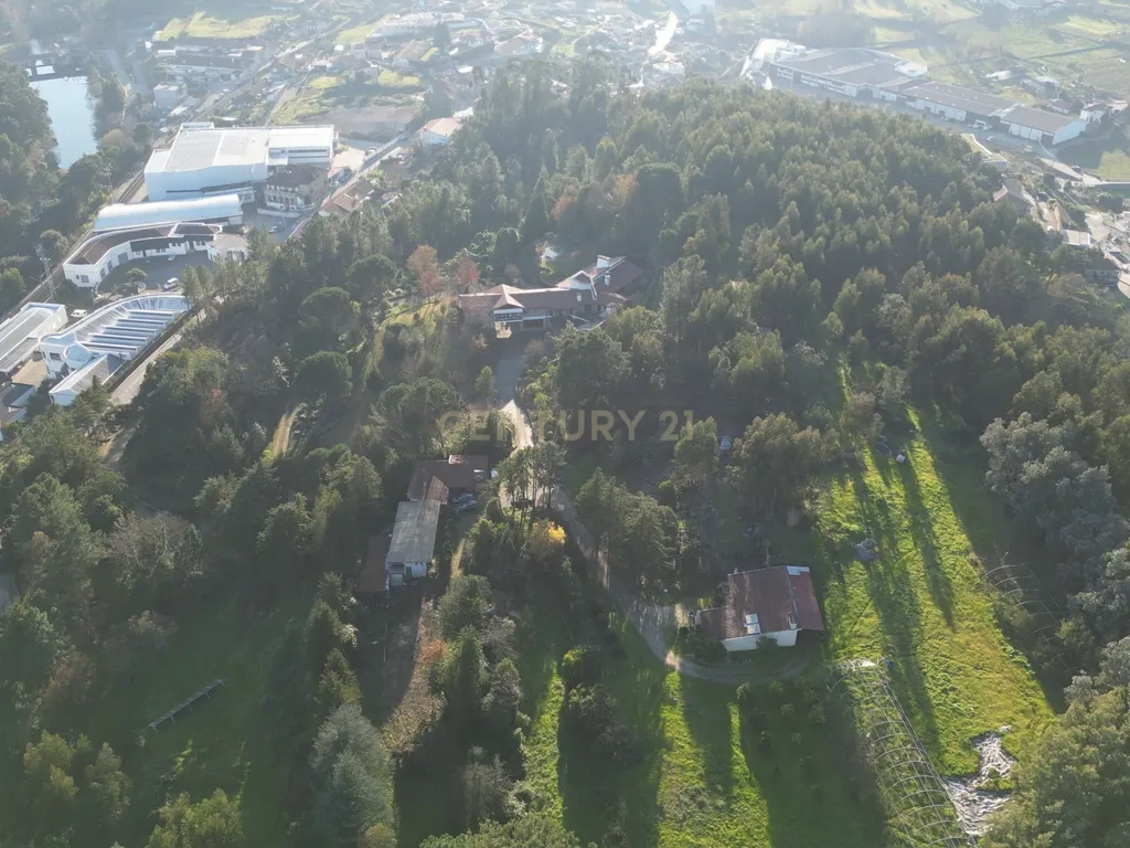 Herdade em Moreira de Cónegos – Moradia com 4 Frentes com Piscina 6 Hectares de terreno ideal para Organização de eventos, Alojamento local , boutique hotel etc - Image 19