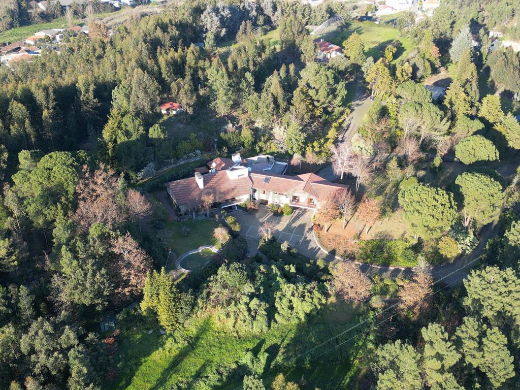 Herdade em Moreira de Cónegos – Moradia com 4 Frentes com Piscina 6 Hectares de terreno ideal para Organização de eventos, Alojamento local , boutique hotel etc - Image 21