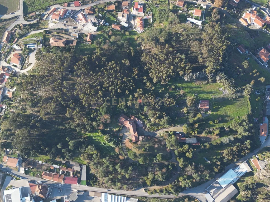Herdade em Moreira de Cónegos – Moradia com 4 Frentes com Piscina 6 Hectares de terreno ideal para Organização de eventos, Alojamento local , boutique hotel etc - Image 28