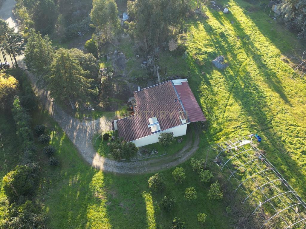 Herdade em Moreira de Cónegos – Moradia com 4 Frentes com Piscina 6 Hectares de terreno ideal para Organização de eventos, Alojamento local , boutique hotel etc - Image 17