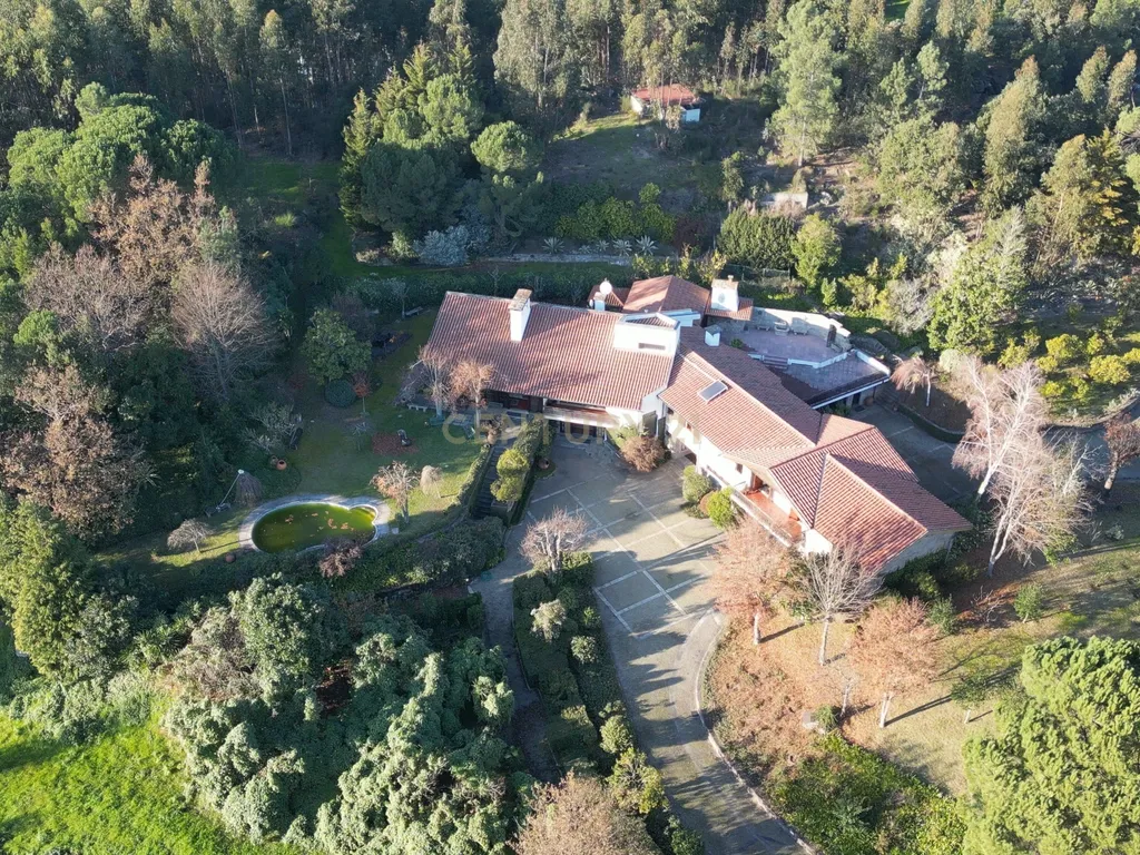 Herdade em Moreira de Cónegos – Moradia com 4 Frentes com Piscina 6 Hectares de terreno ideal para Organização de eventos, Alojamento local , boutique hotel etc - Image 10