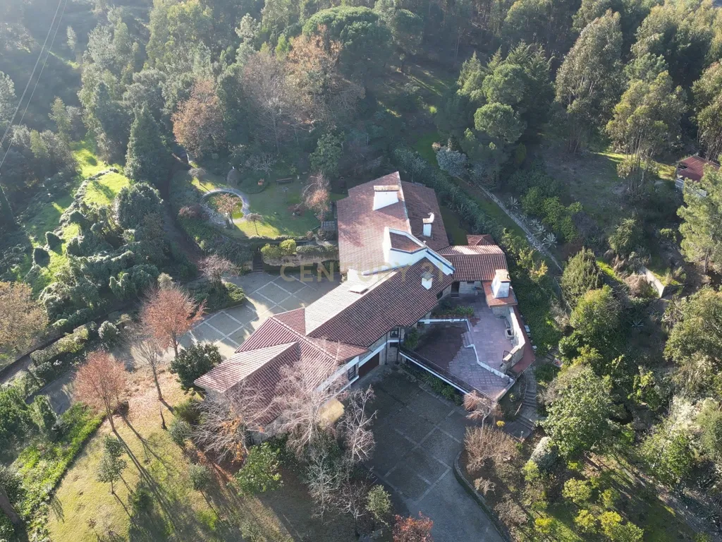 Herdade em Moreira de Cónegos – Moradia com 4 Frentes com Piscina 6 Hectares de terreno ideal para Organização de eventos, Alojamento local , boutique hotel etc - Image 22