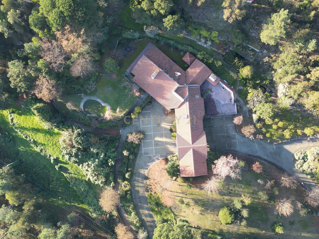 Herdade em Moreira de Cónegos – Moradia com 4 Frentes com Piscina 6 Hectares de terreno ideal para Organização de eventos, Alojamento local , boutique hotel etc - Image 24