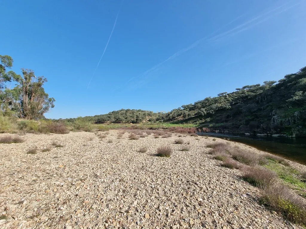 Herdade com Terreno Rústico de 39,7 ha e 1,7 km de Margem de Rio – Fronteira com Espanha - Image 13
