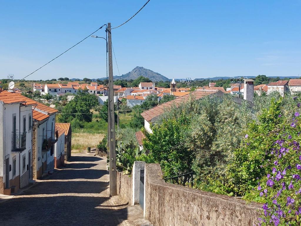 Terreno em Alcafozes, Idanha a Nova com Vista e Árvores de Fruto - Image 6