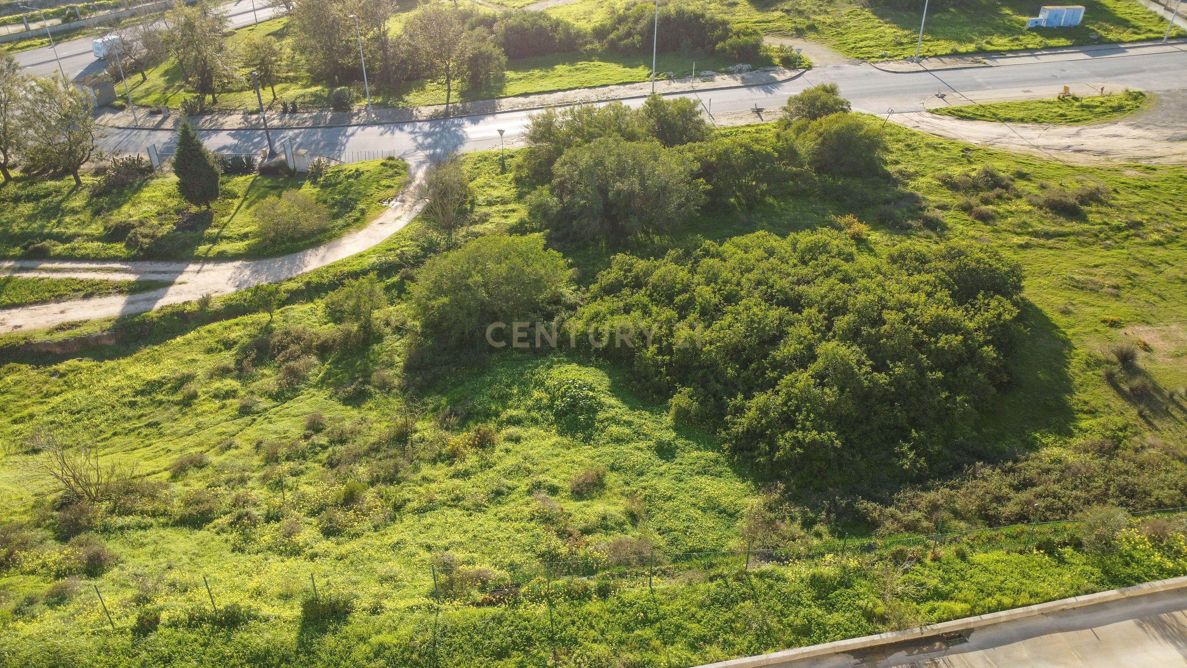 Fotografia 11 de Lote de terreno com 2.500 m², destinado a construção industrial- Parque Industrial SAPEC BAY, Setúbal