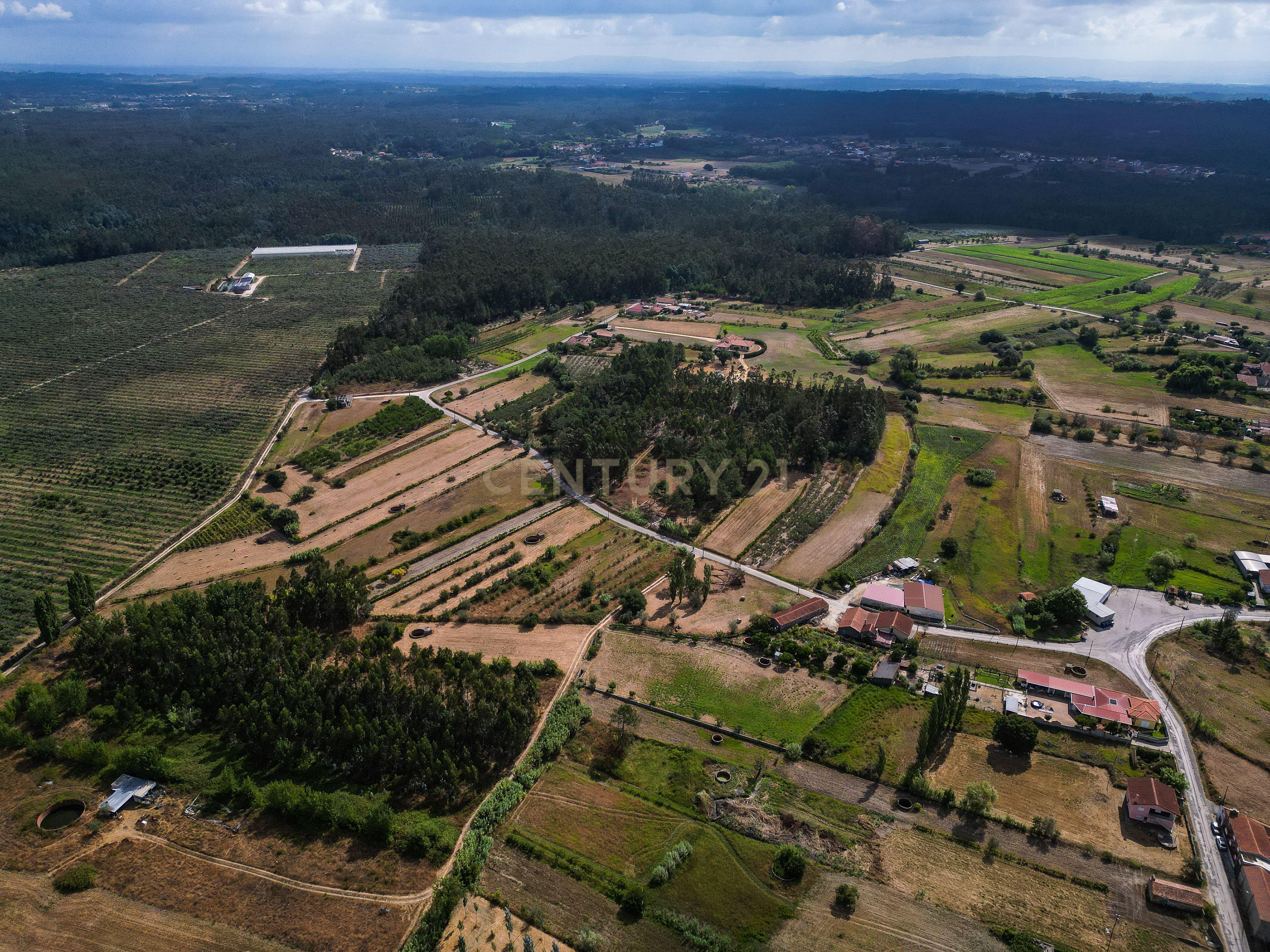 Fotografia 9 de Terreno de cultivo com poço em Cabeça Alta – Seixo de Gatões, Montemor-o-Velho