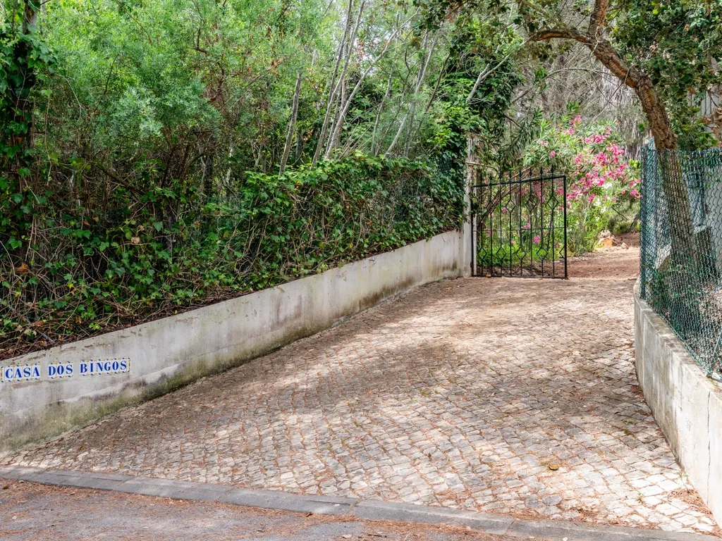 Moradia inserida em terreno com 3.560m2 a 5 minutos das Praias da Marinha, Benagil e Albandeira - Image 5