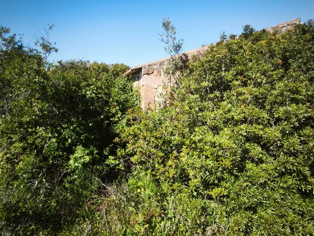 Terreno Misto com Ruína na Pedragosa – Oportunidade Única no Algarve - Image 10