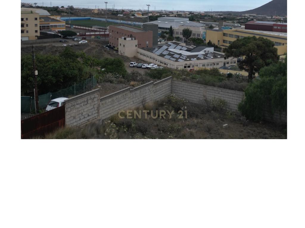 - Image 10