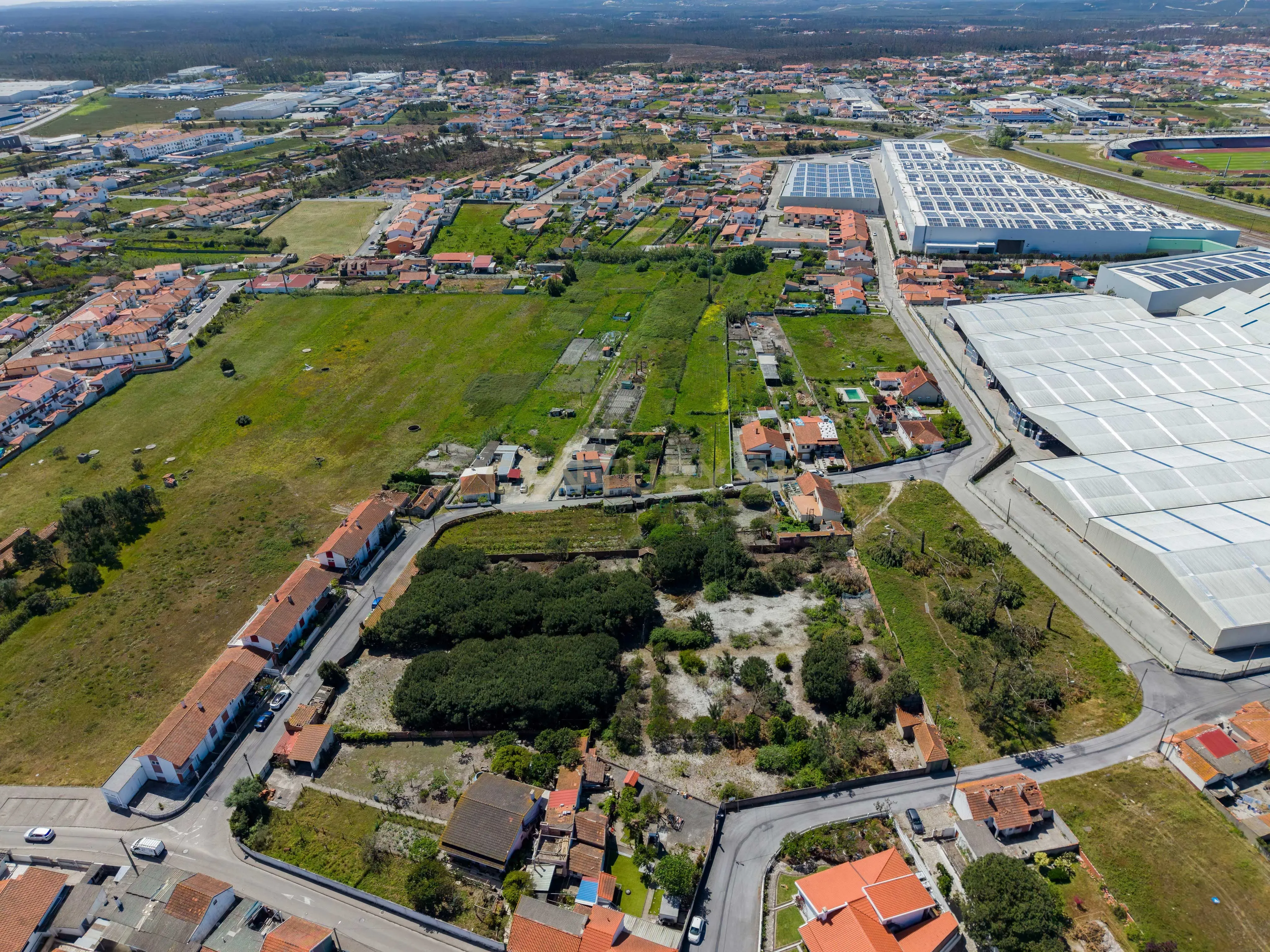 Fotografia 10 de Terreno com potencial de desenvolvimento urbanístico | 6.803 m² | Comeira – Marinha Grande