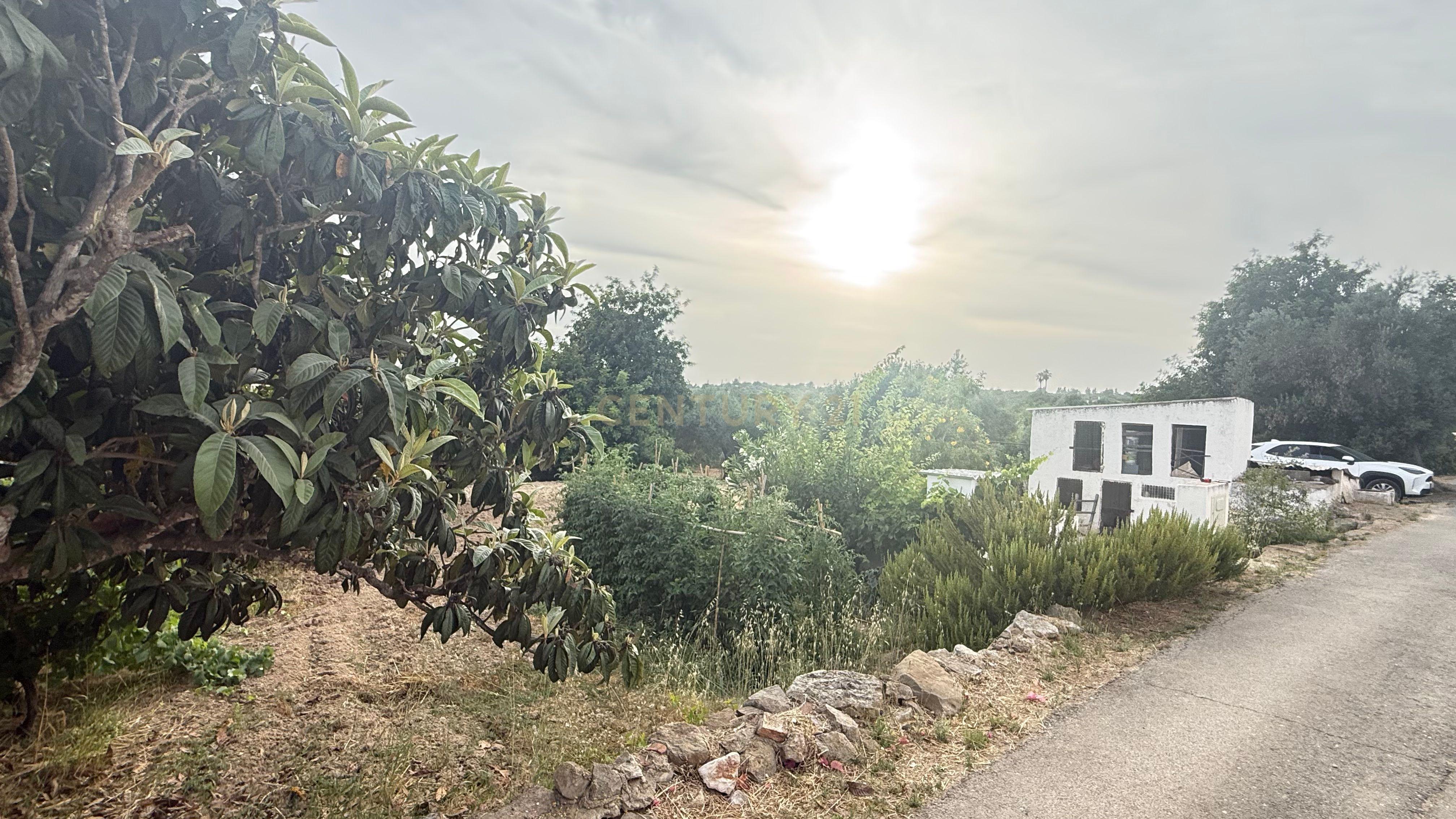 Fotografia 8 de Encantadora Casa em Luz de Tavira, Faro - Oásis de Tranquilidade