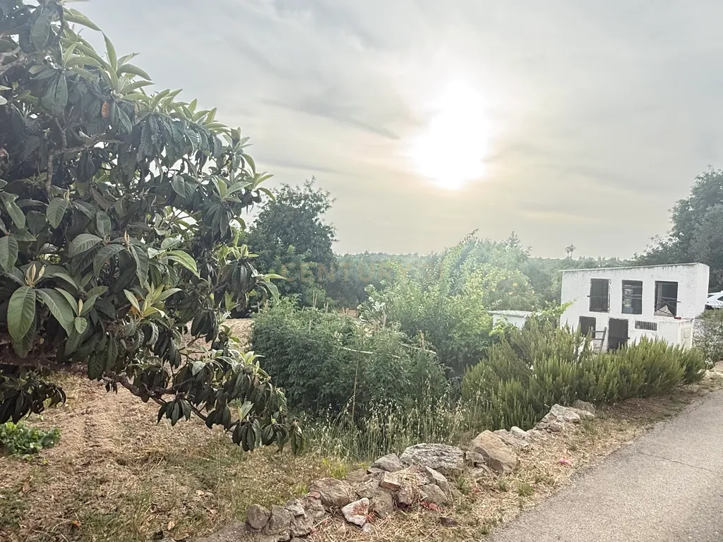Encantadora Casa em Luz de Tavira, Faro - Oásis de Tranquilidade - Image 8