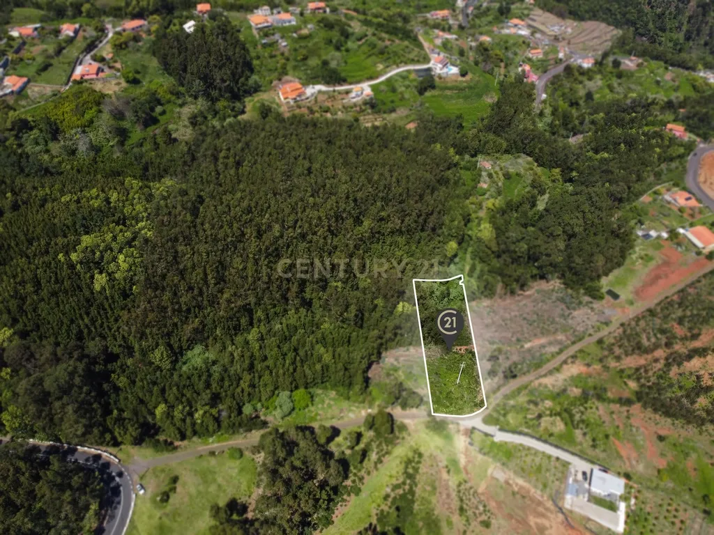 Terreno com Vista Mar e Viabilidade de Construção para Habitação Própria em Gaula - Image 15