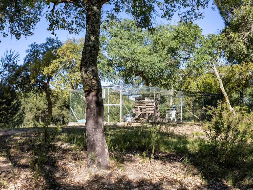 Quinta a 1 hora de Lisboa - Cortiçadas de Lavre - Próximo novo Aeroporto!!! - Image 109