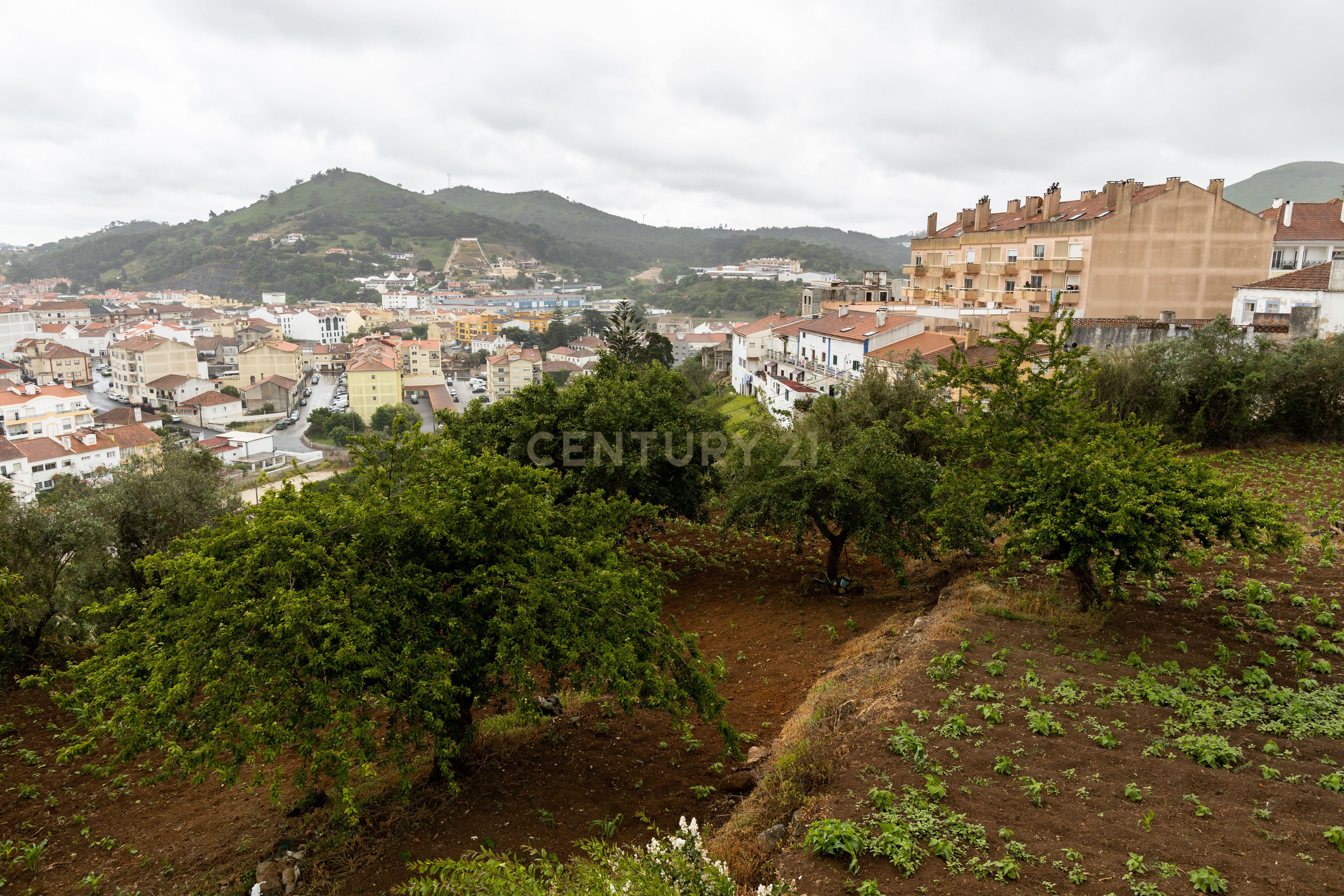 Quintinha da Bela Vista na Malveira - Image 37