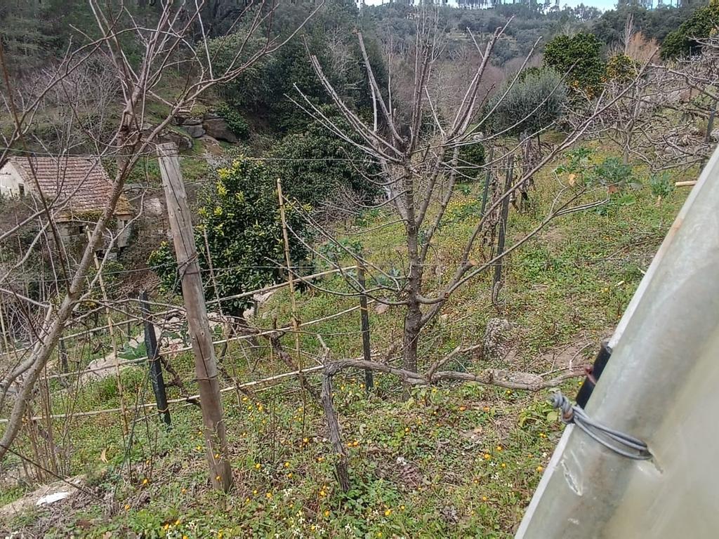 Casa com terreno de construção e agrícola perto do rio Douro em Granja, S. Tomé de Covelas, Baião, Porto - Image 29
