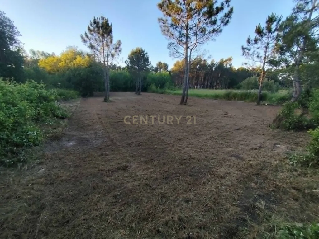 Terreno Rústico com 1.360 m² em Vale Sobreiro — Pataias e Martingança - Image 1