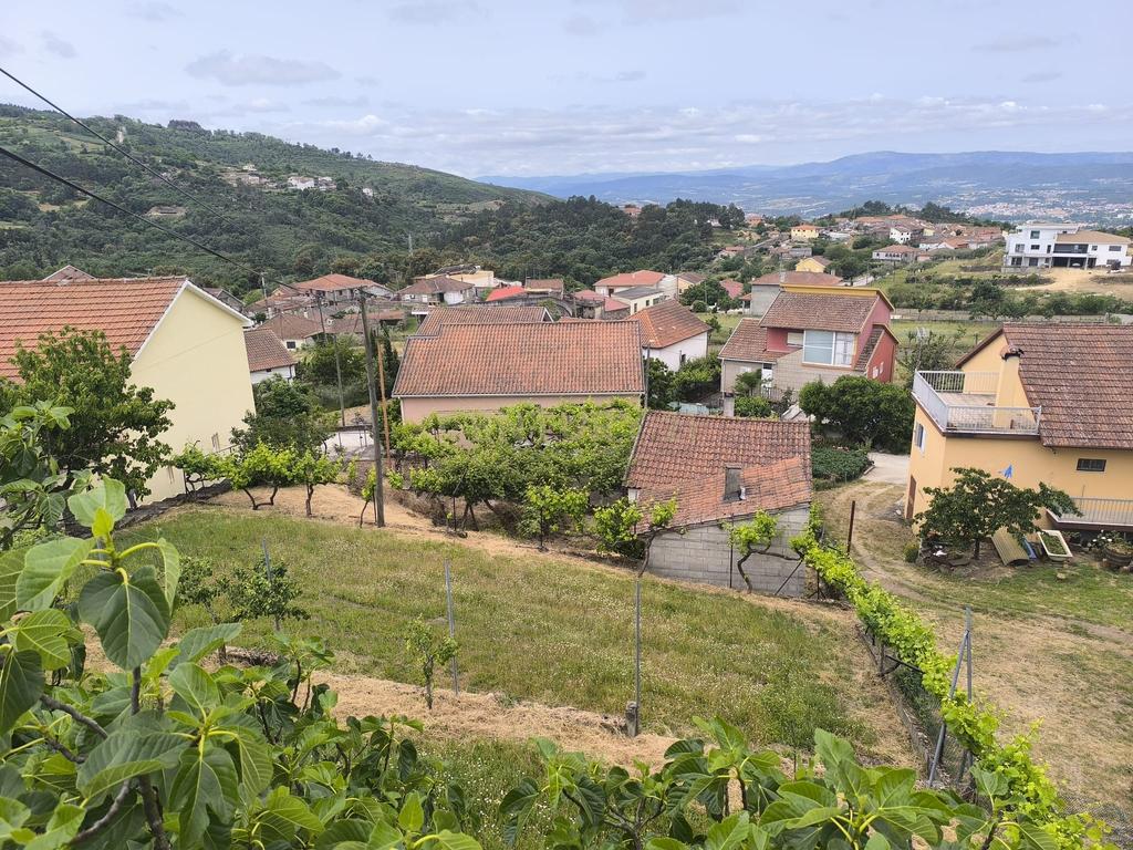 Casas prontas a habitar com terreno, arvores de fruto, forno e água própria. - Image 37