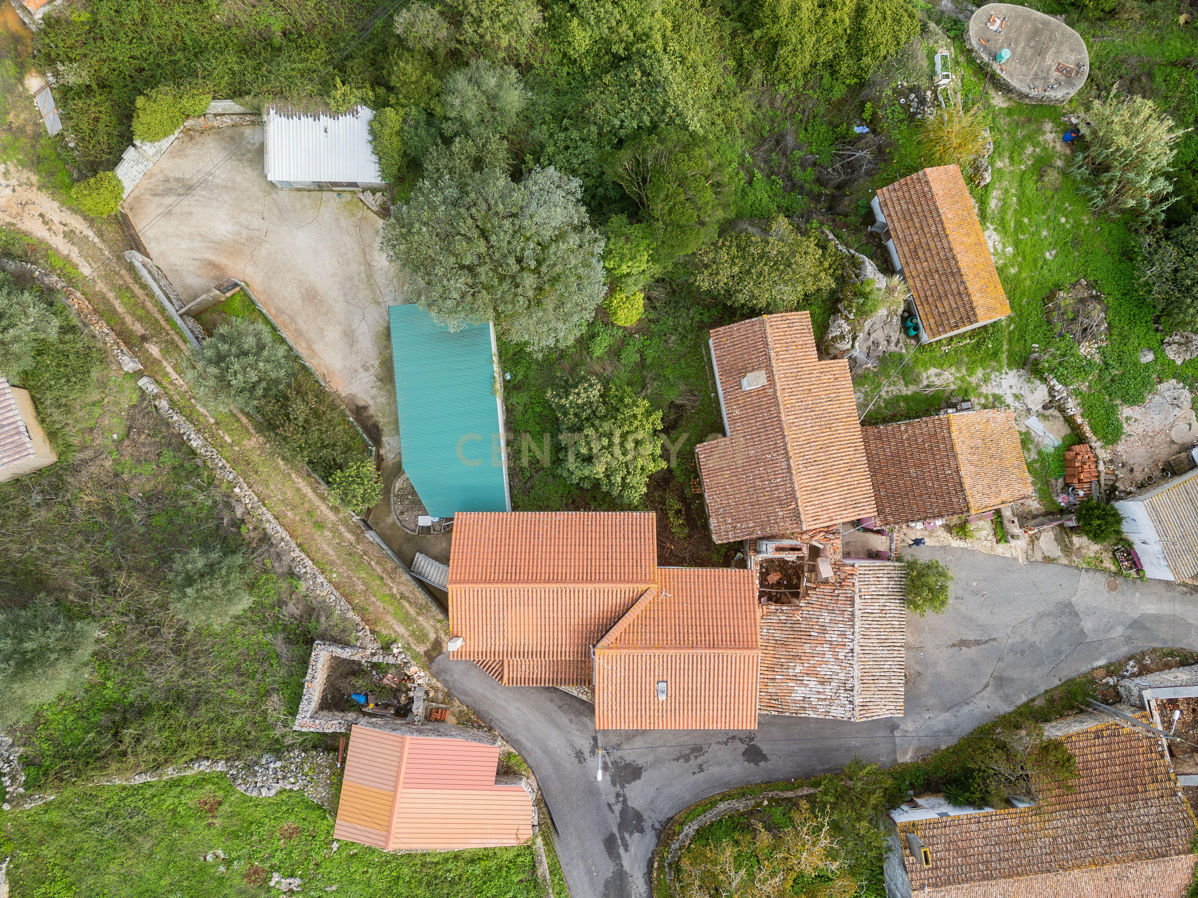 Fotografia 9 de Casinha de pedra em Serra de Santo António
