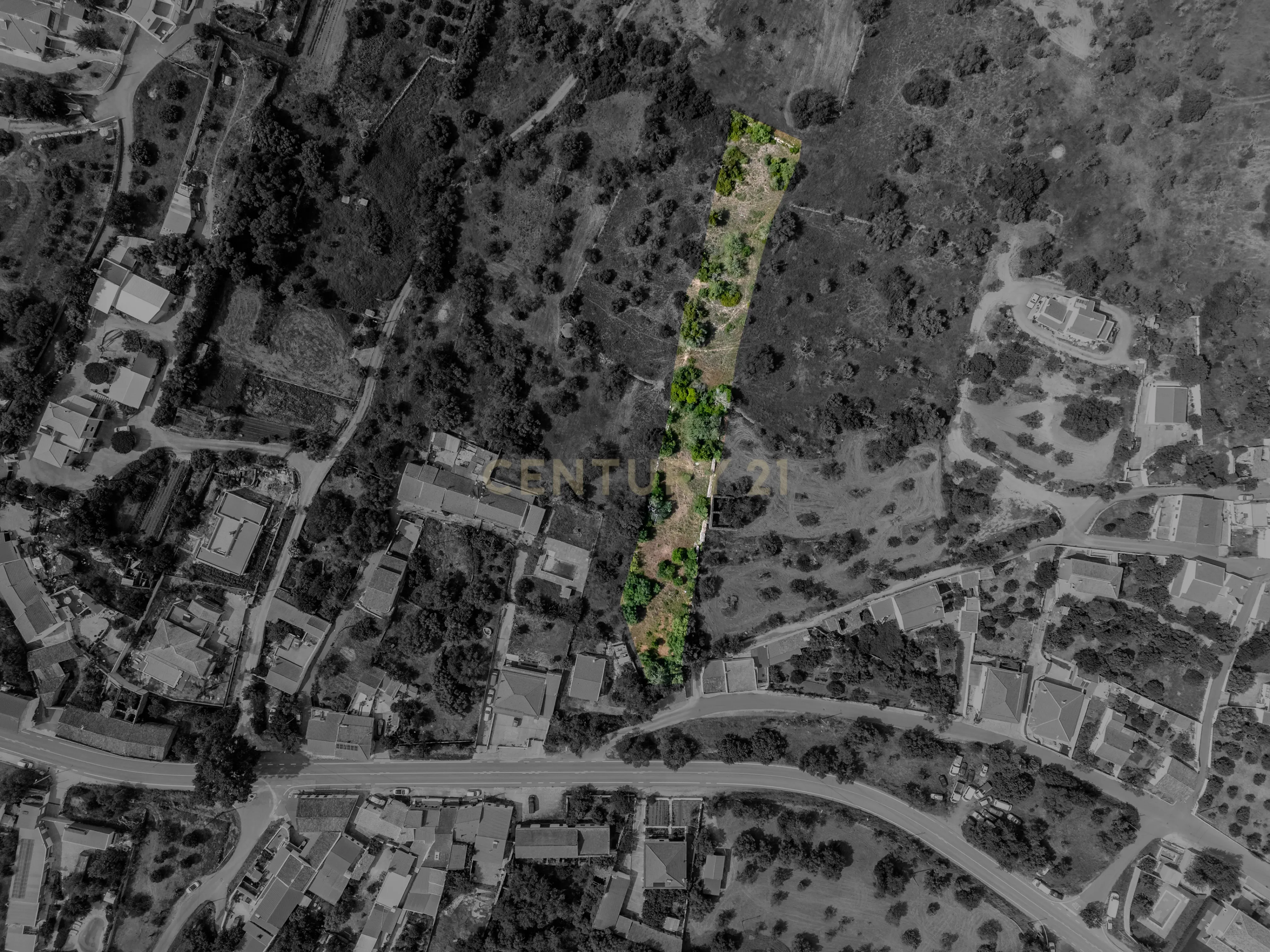 Fotografia 5 de Terreno com Potencial para 3 Moradias | 2.680 m² | São Bartolomeu de Messines | Silves