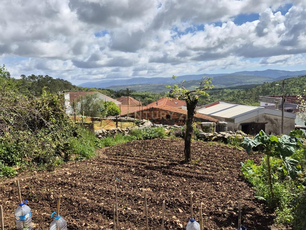 Oportunidade Única - Refúgio com vista para a Serra de Sicó, em Cotas, Pombalinho.  - Image 28