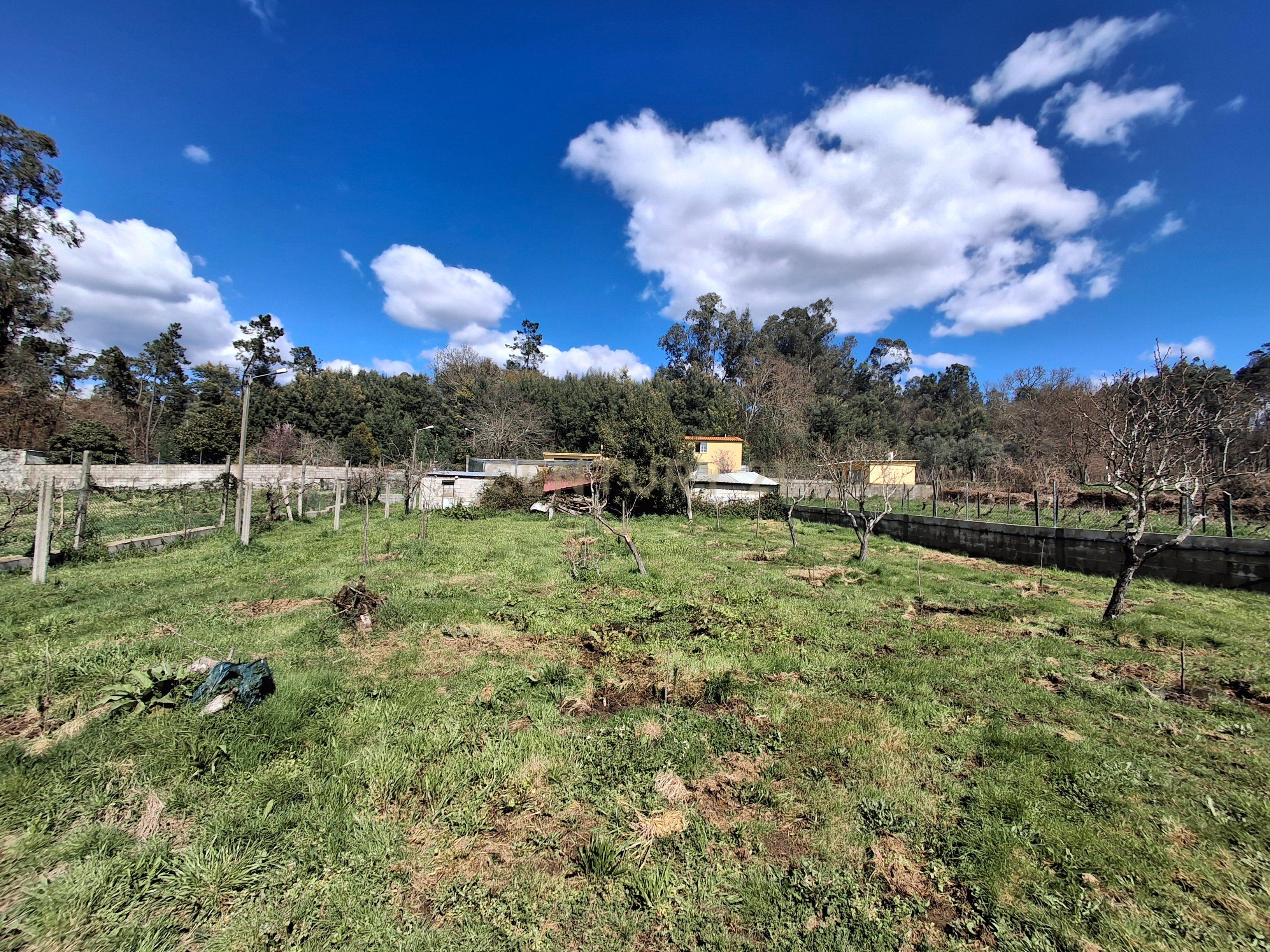 Quinta em Ribeira, Campo de Besteiros, Tondela. - Image 14