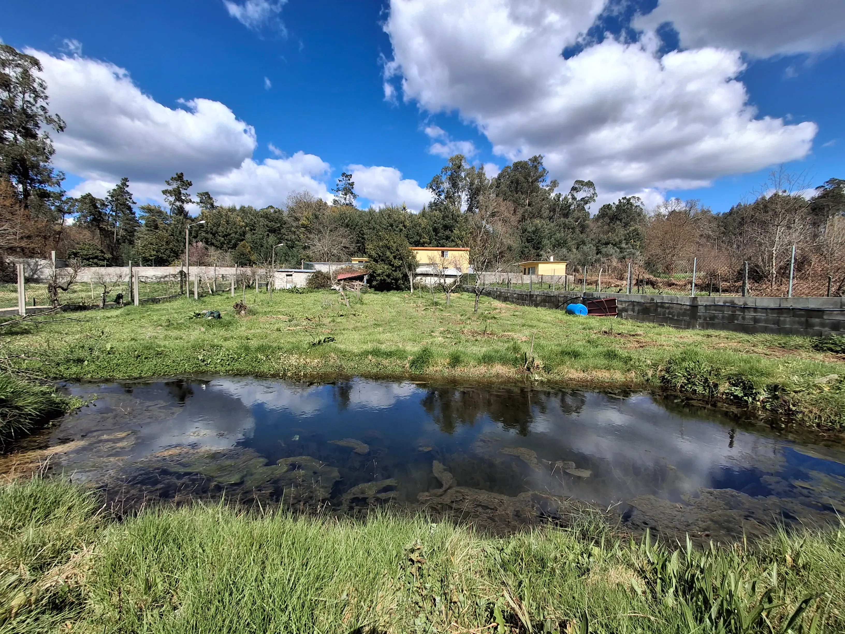 Quinta em Ribeira, Campo de Besteiros, Tondela. - Image 8