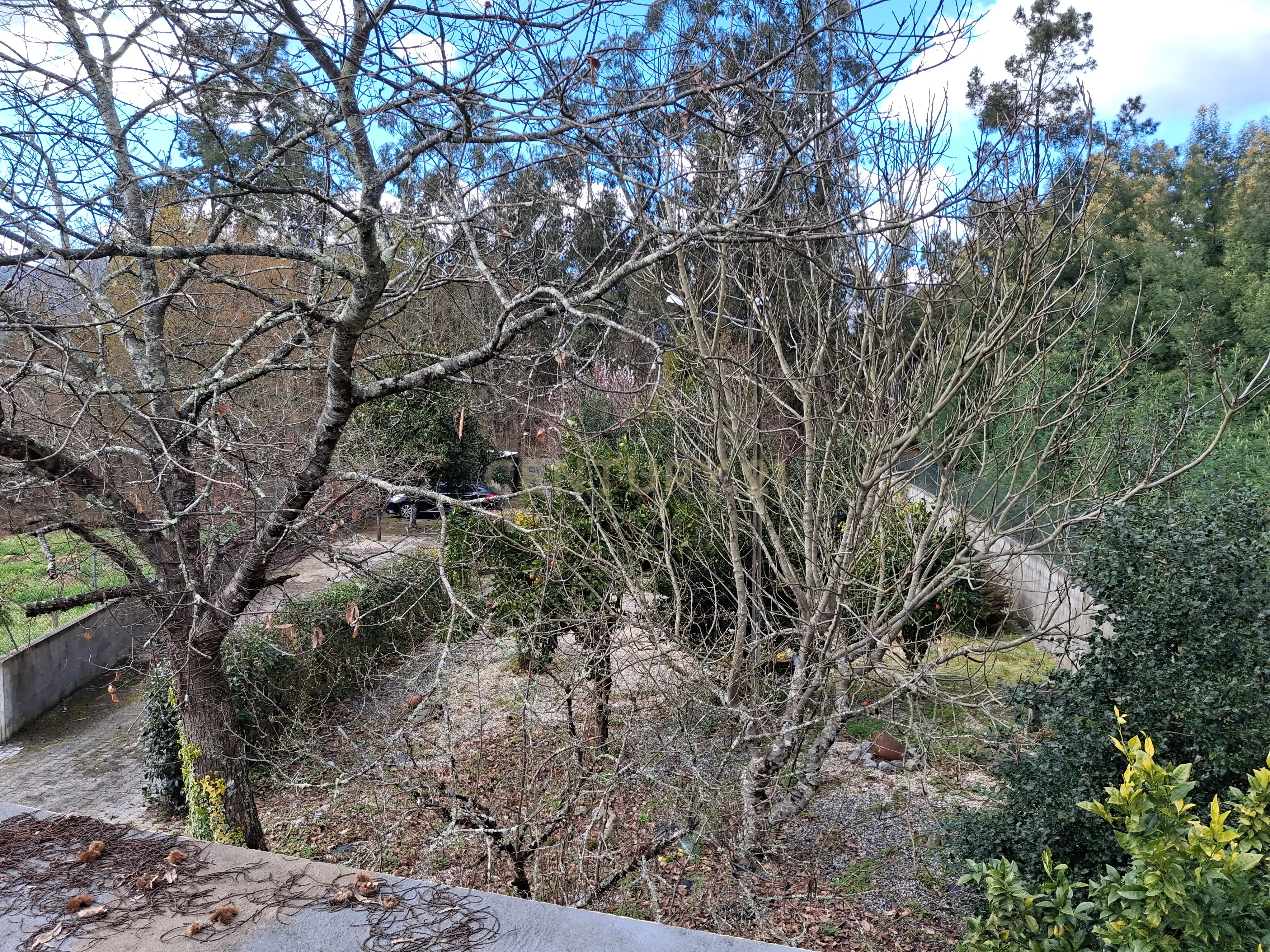 Quinta em Ribeira, Campo de Besteiros, Tondela. - Image 16