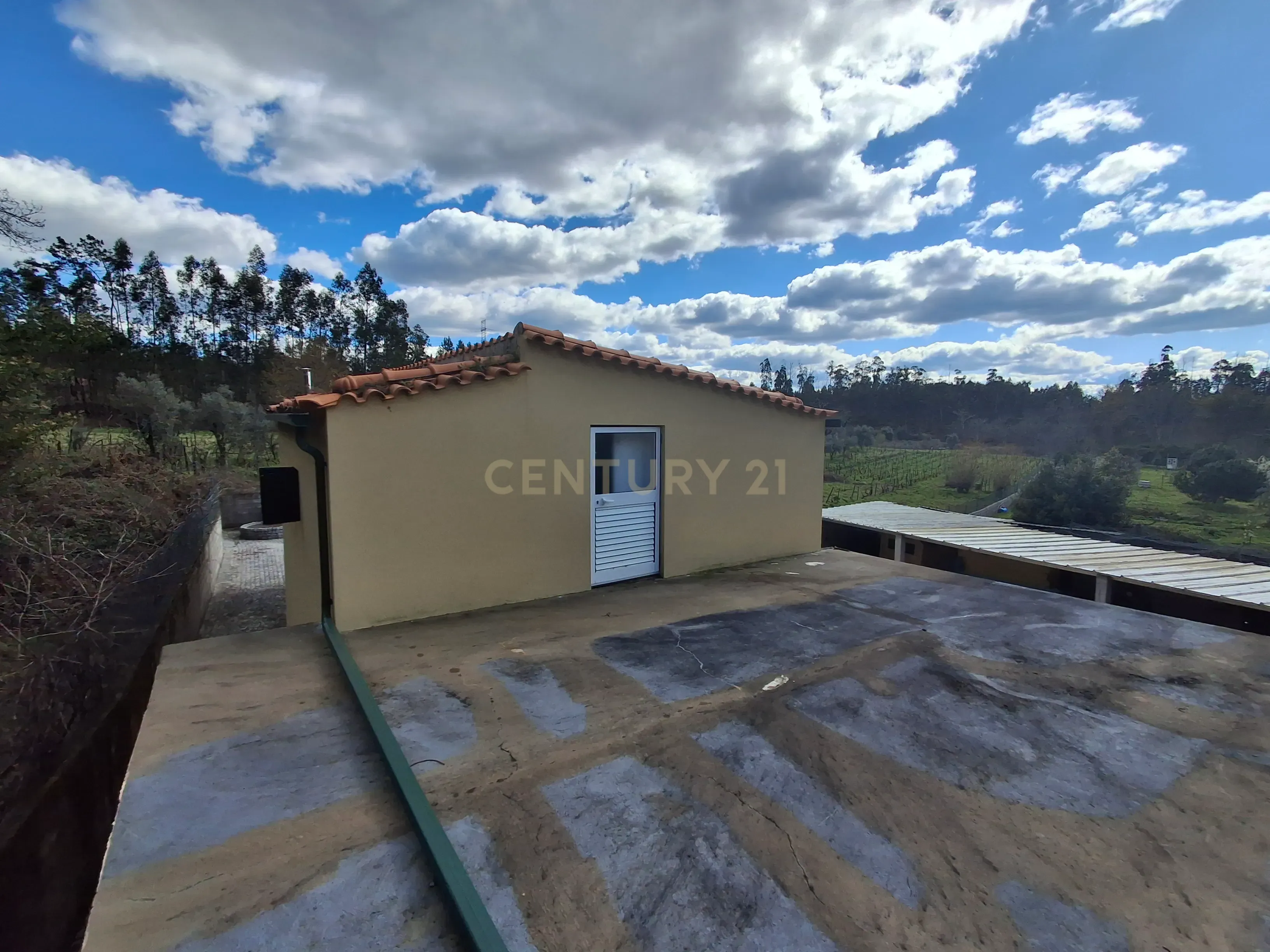 Quinta em Ribeira, Campo de Besteiros, Tondela. - Image 4