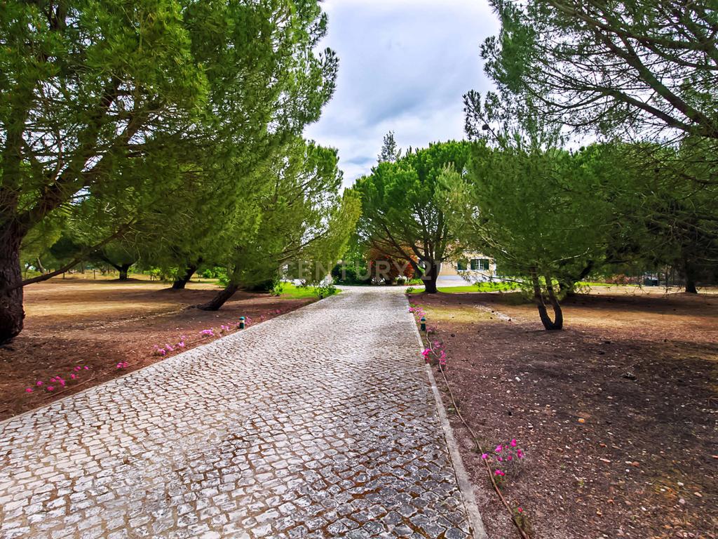 MORADIA TÉRREA | 4 QUARTOS | PISCINA | 20.000 m2 TERRENO | SANTO ESTEVÃO - Image 4