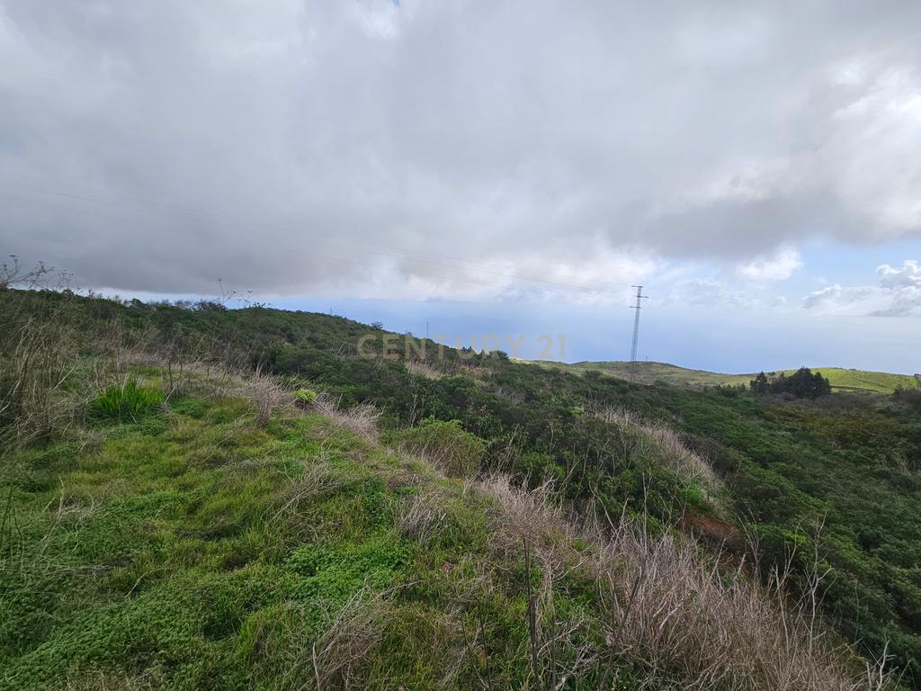 undefined - Image 6