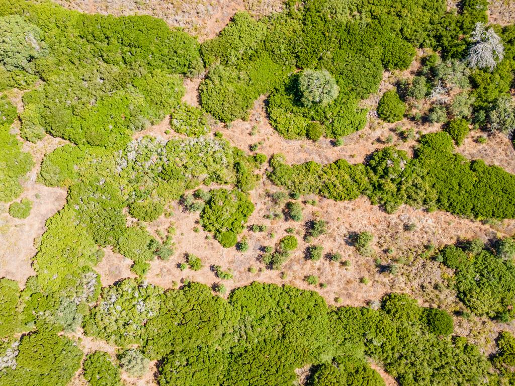 Terreno - Image 10